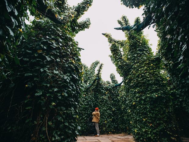 Photo 3 for Hamilton Gardens