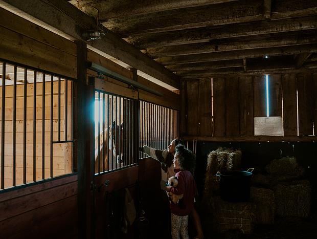Photo 17 for Countryside Haven with Hot Tub and Horses