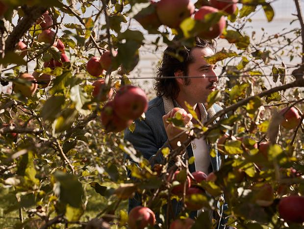 Photo 1 for Fruit Bowl Apple Picking