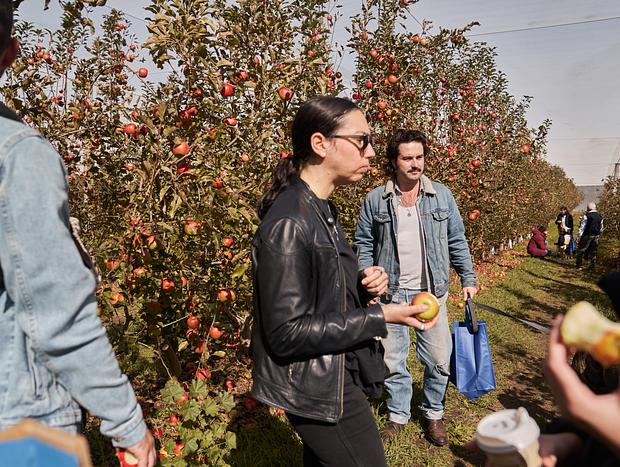 Photo 3 for Fruit Bowl Apple Picking