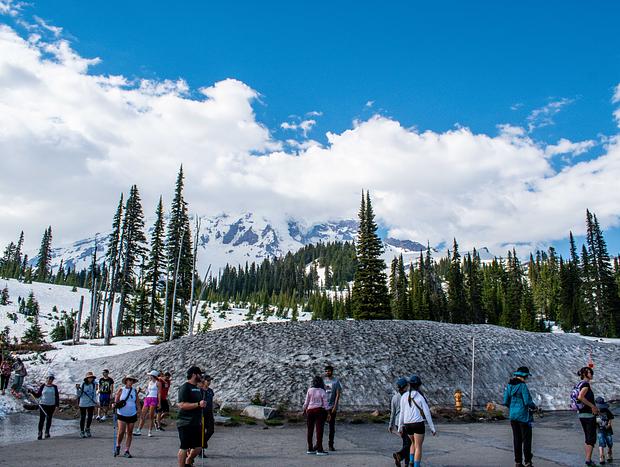 Photo 20 for Stay at the Mt. Rainier NP Entrance