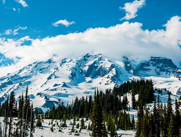 Photo 21 for Stay at the Mt. Rainier NP Entrance