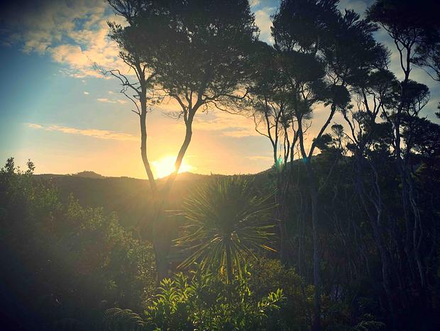 Photo 32 for The Whaler's Cottage - Great Barrier Island