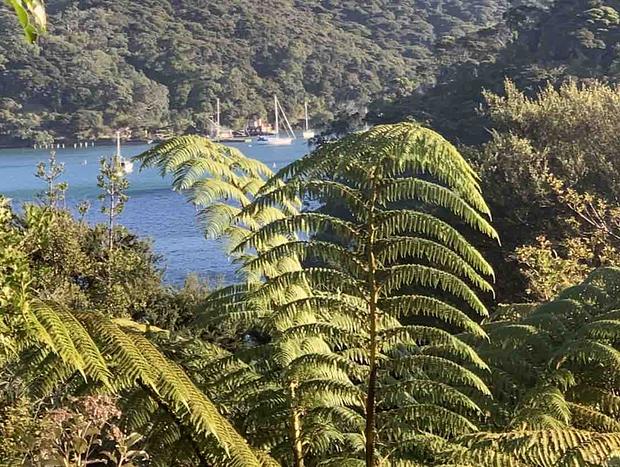 Photo 36 for The Whaler's Cottage - Great Barrier Island