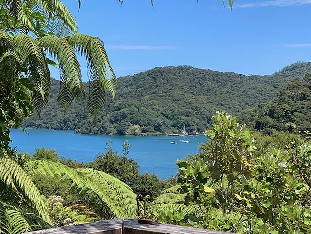 Photo 40 for The Whaler's Cottage - Great Barrier Island