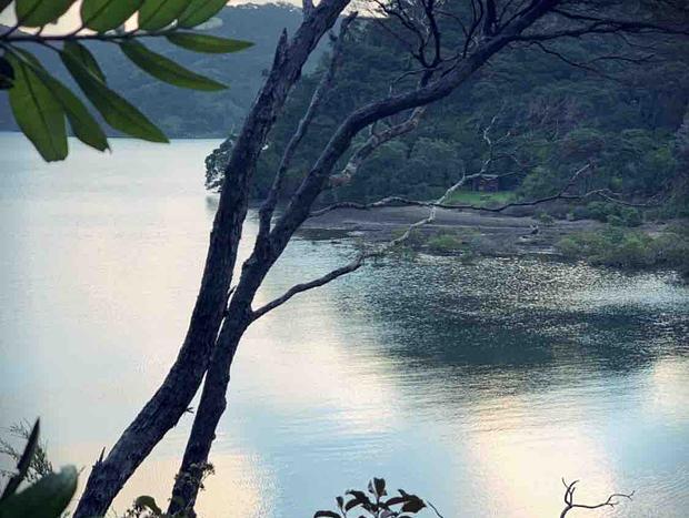 Photo 41 for The Whaler's Cottage - Great Barrier Island