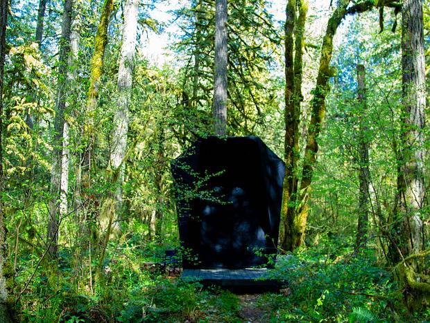 Photo 39 for Futuristic Forest Find - Jupe Cabin With Hot Tub Sauna