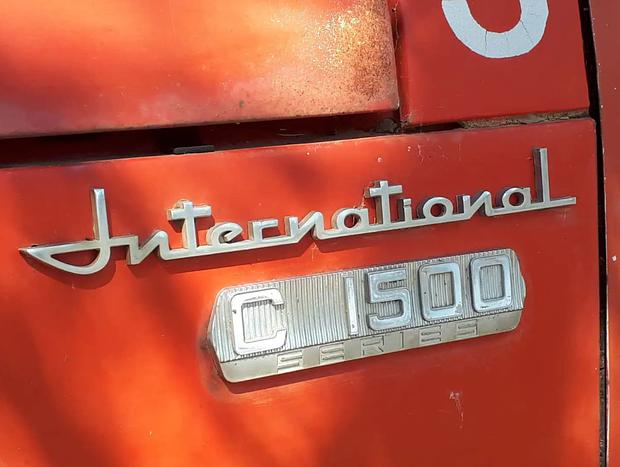 Photo 13 for Yarriambiance - "The International" Tiny House