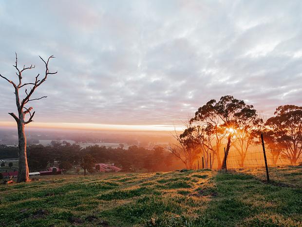 Photo 10 for Cosy Farm Stay