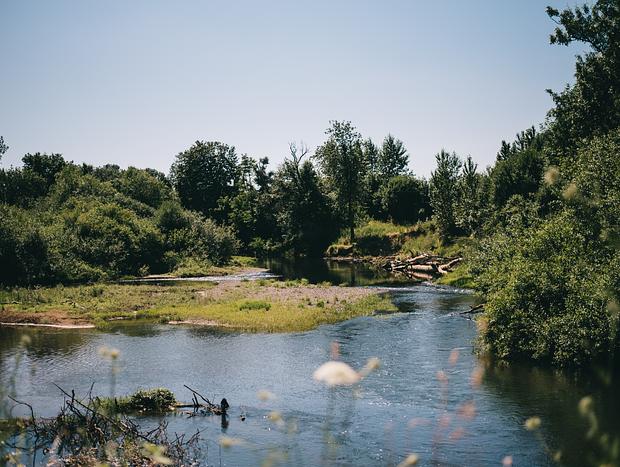 Photo 3 for Exploring the River