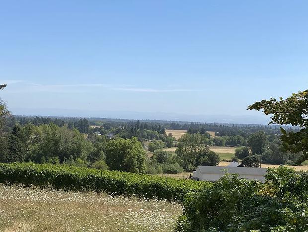 Photo 21 for Vineyard Barn at Aeolus Vineyard
