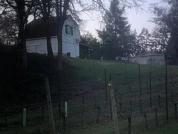 Photo 17 for Vineyard Barn at Aeolus Vineyard