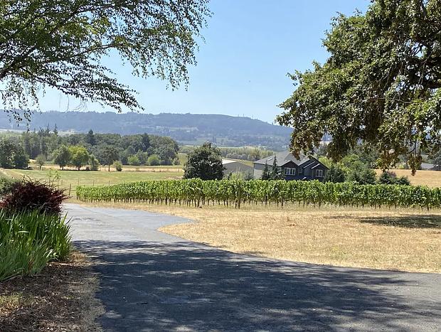 Photo 23 for Vineyard Barn at Aeolus Vineyard
