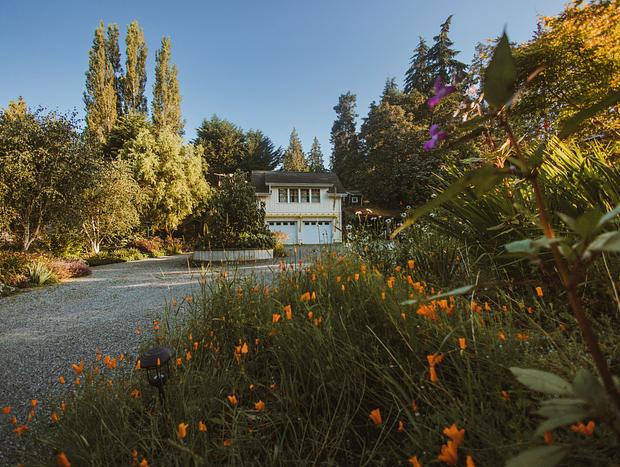 Photo 12 for Artist's Studio on Bainbridge Island