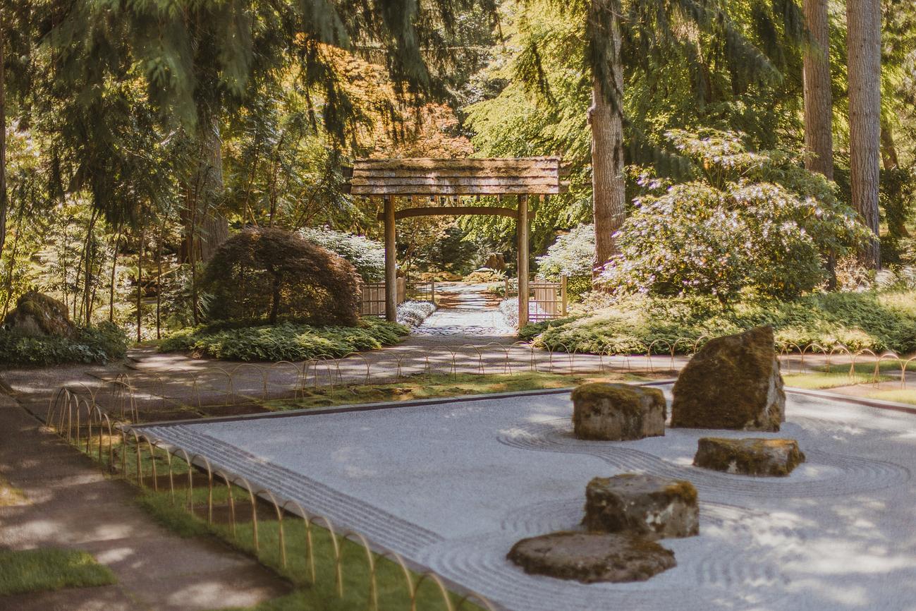 The Bloedel Reserve Riparide