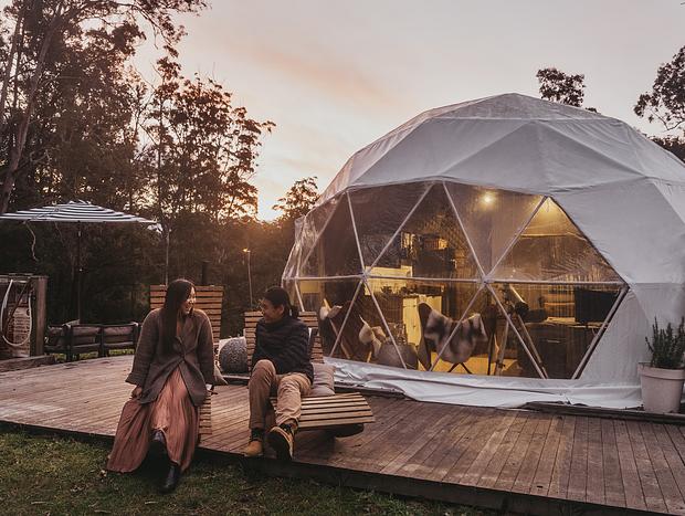 Photo 14 for Serene Forest Bathing at Nature Domes