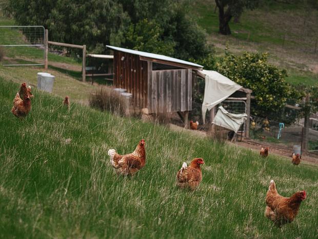 Photo 12 for Cosy Farm Stay