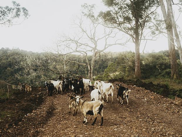 Photo 10 for Farm Visit