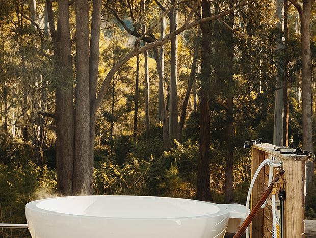 Photo 31 for Serene Forest Bathing at Nature Domes