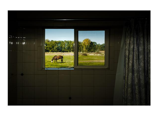 Photo 12 for Beautiful Farmhouse - Parklike Setting