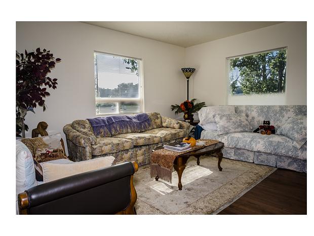 Photo 5 for Beautiful Farmhouse - Parklike Setting