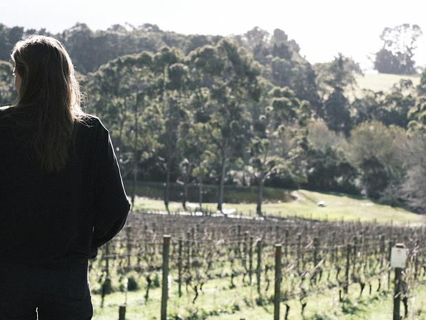 Photo 3 for Polperro Winery
