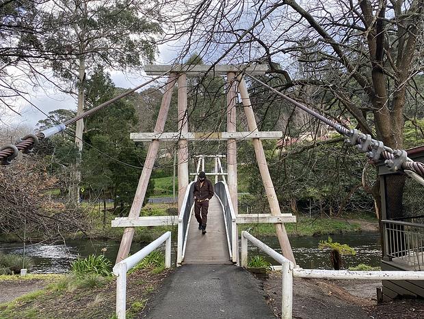Photo 1 for Warburton River Walk