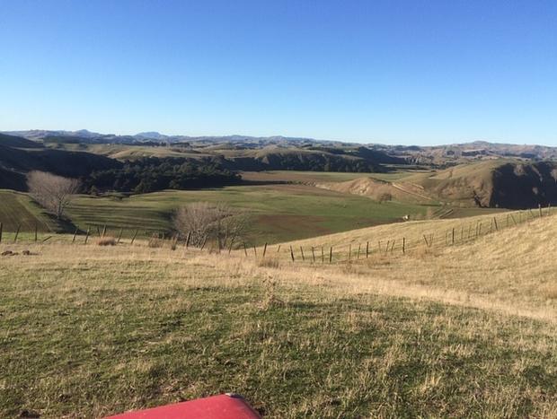 Photo 28 for Paratu Farm Cottage In A Quiet Rural Setting