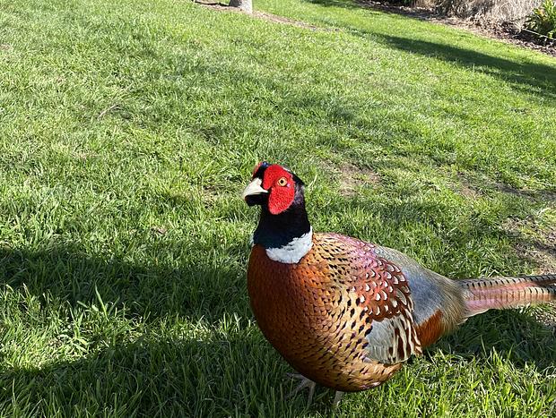 Photo 29 for Paratu Farm Cottage In A Quiet Rural Setting