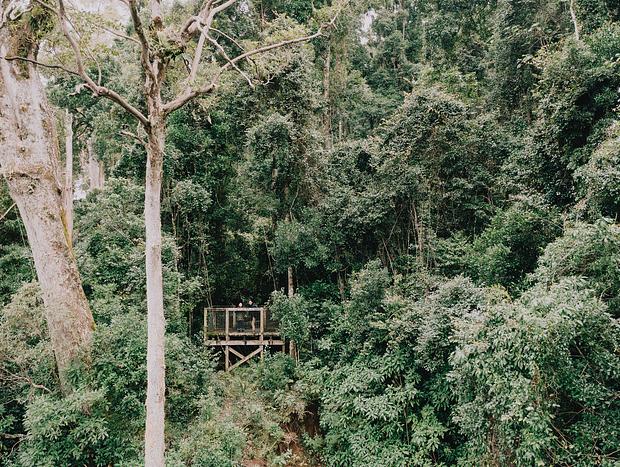 Photo 22 for Serene Forest Bathing at Nature Domes