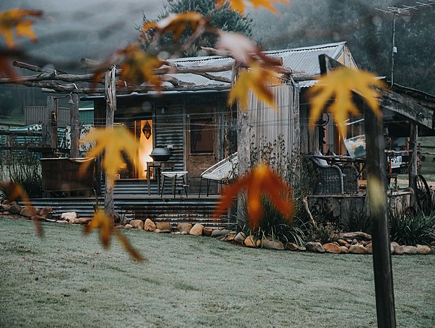 Photo 3 for Autumn Leaves