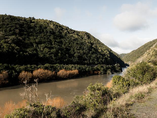 Photo 4 for Te Apiti Manawatu Gorge Loop Walk
