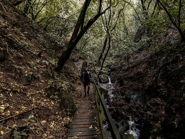 Photo 5 for Te Apiti Manawatu Gorge Loop Walk