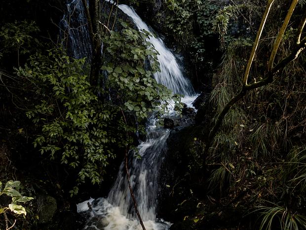 Photo 3 for Te Apiti Manawatu Gorge Loop Walk