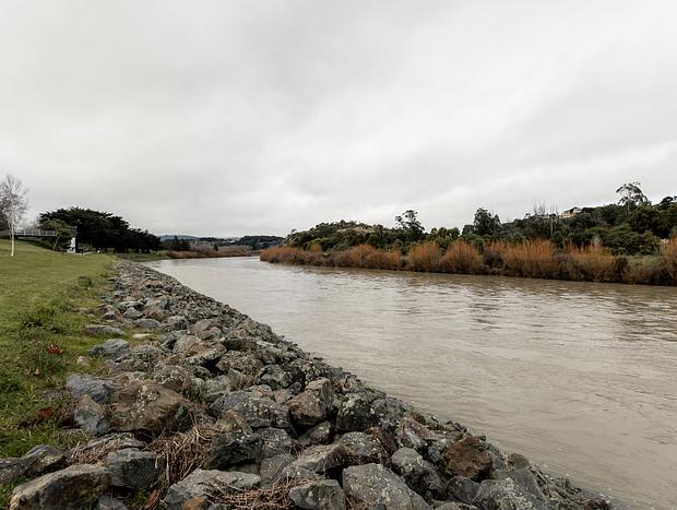Photo 1 for Manawatu River