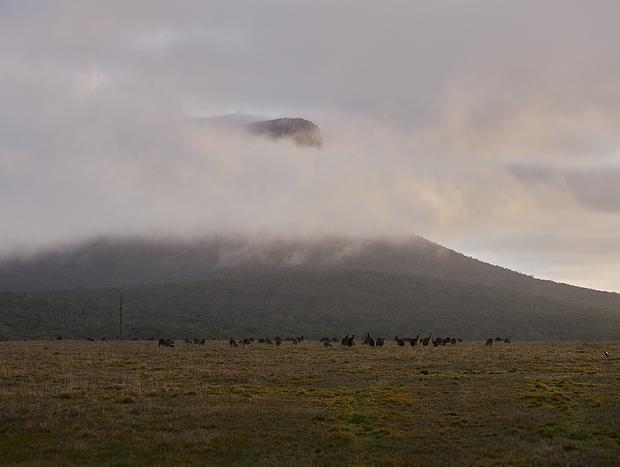 Photo 3 for Waking up to Mount Abrupt