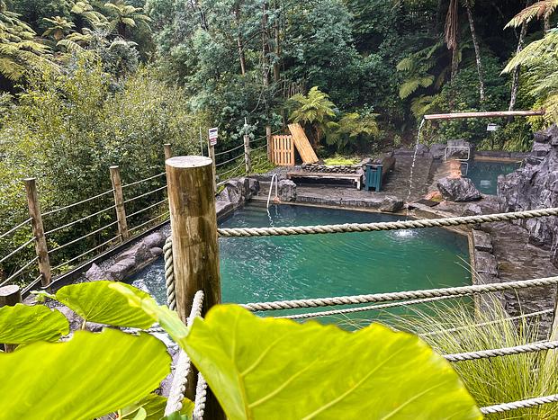 Photo 2 for Relax at the Okoroire Hot Springs