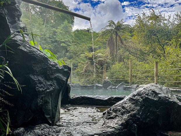 Photo 4 for Relax at the Okoroire Hot Springs
