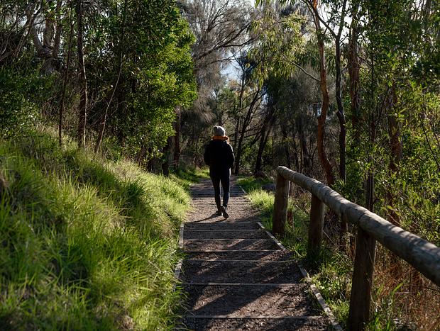 Photo 2 for Hiking Through Arthurs Seat State Park