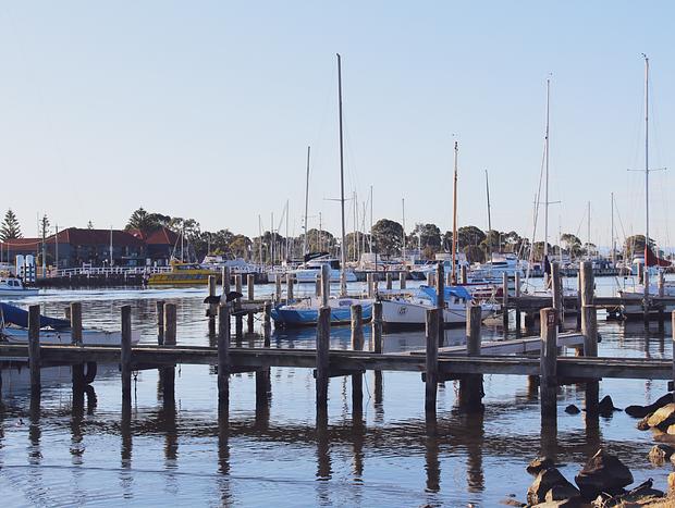 Photo 3 for Catch the Ferry to Raymond Island