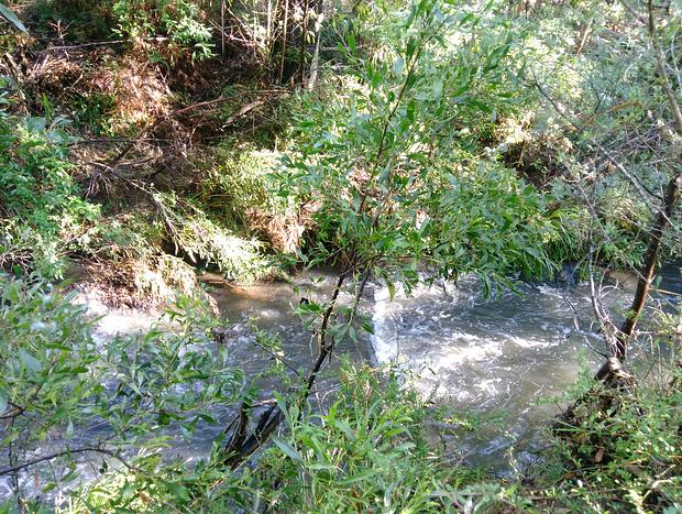 Photo 20 for Kinglake-Glenburn B&B and Glamping