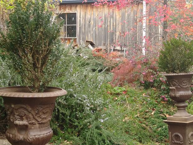 Photo 21 for Kinglake-Glenburn B&B and Glamping