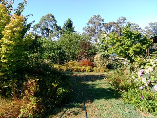 Photo 23 for Kinglake-Glenburn B&B and Glamping