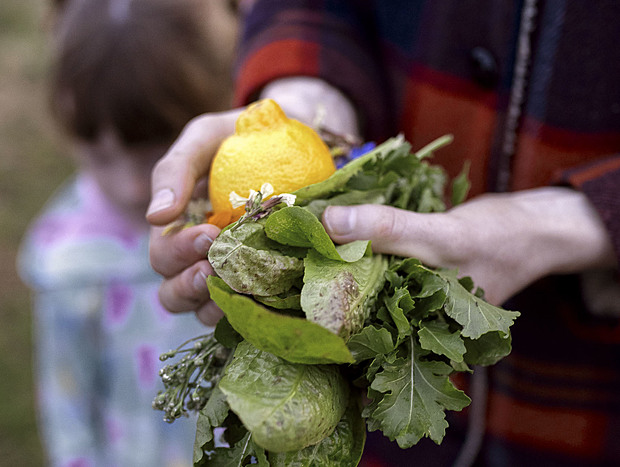 Photo 15 for Charming Farming