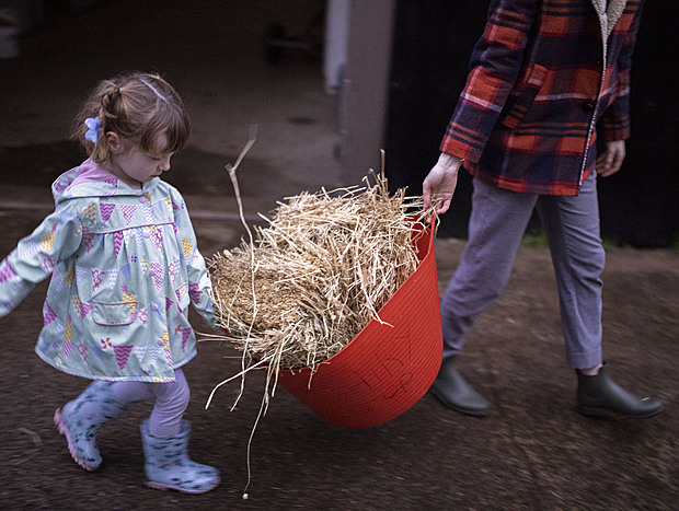 Photo 14 for Charming Farming