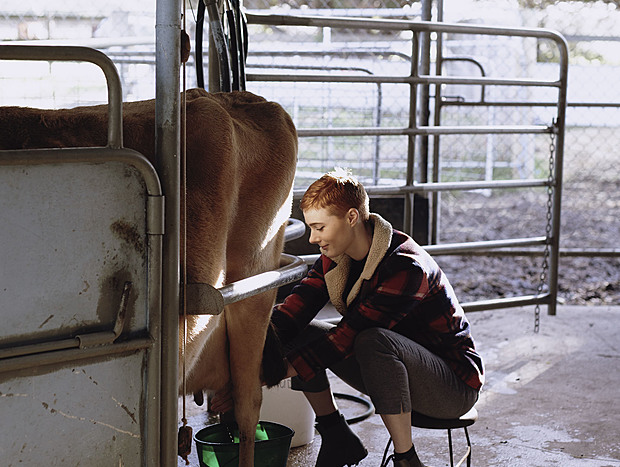 Photo 13 for Charming Farming
