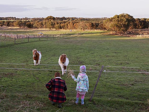 Photo 18 for Charming Farming