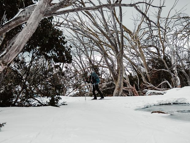 Photo 3 for Cross-Country Ski to Cricket Pitch Shelter