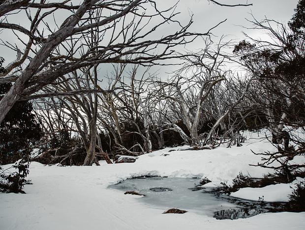 Photo 4 for Cross-Country Ski to Cricket Pitch Shelter