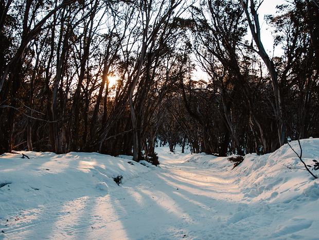 Photo 2 for Sunset Ski Along Race Loop